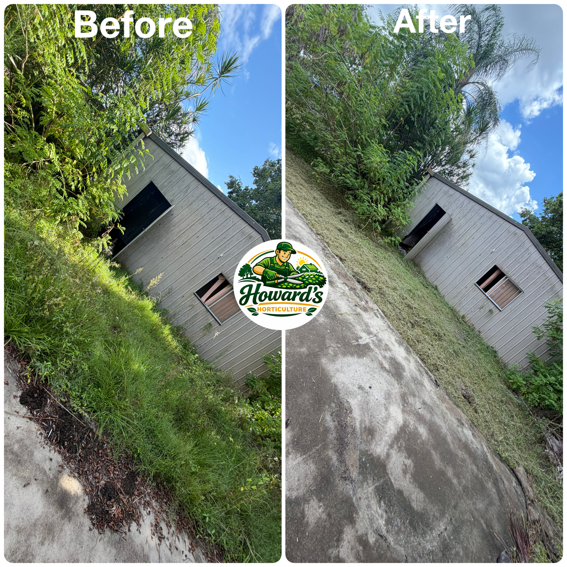 Garden transformation