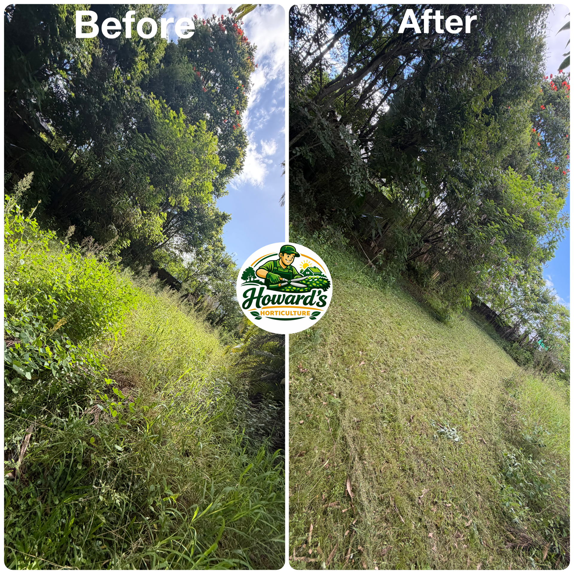 Garden transformation
