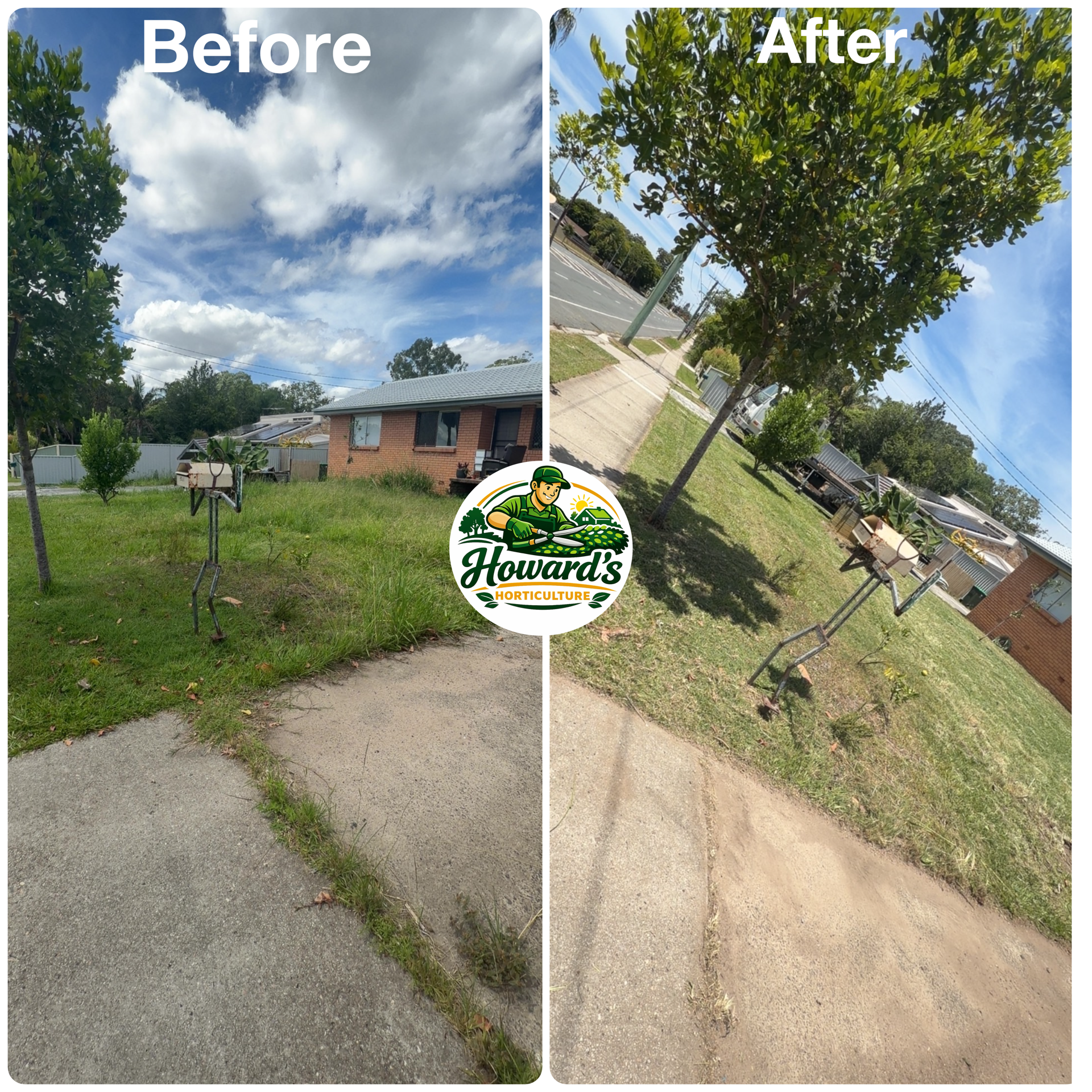 Garden transformation
