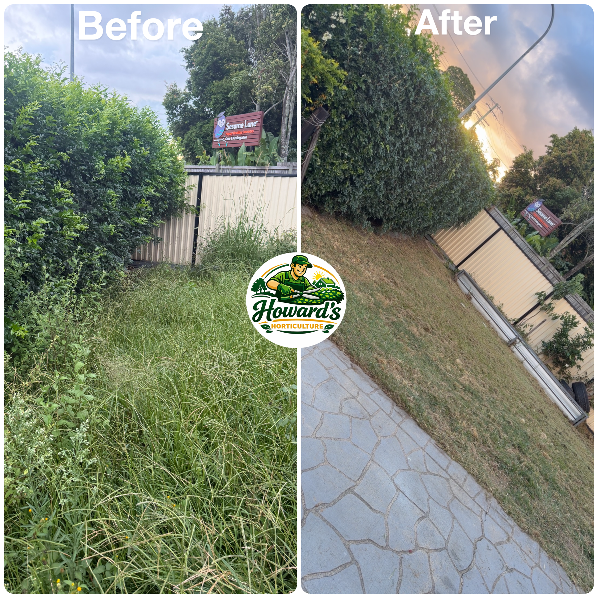 Garden transformation