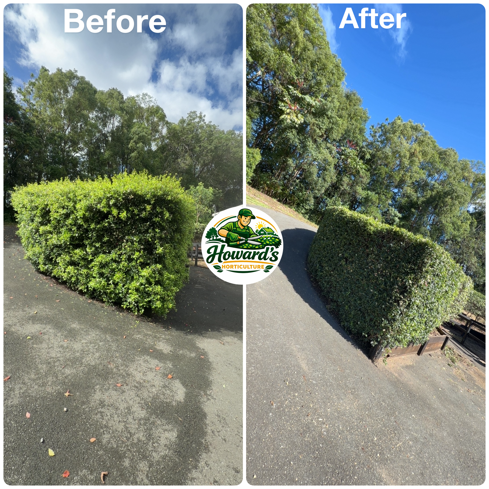 Garden transformation