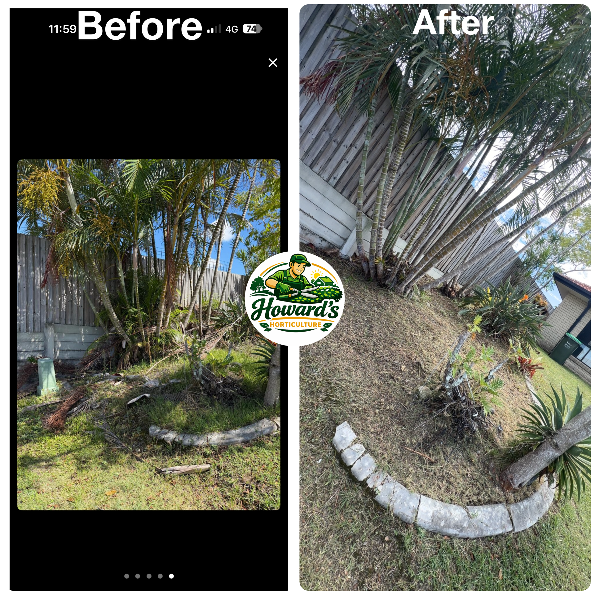 Garden transformation